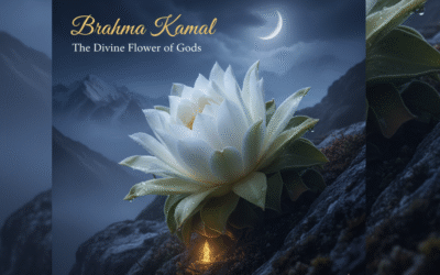 What is Brahma Kamal? The Divine Flower of Gods